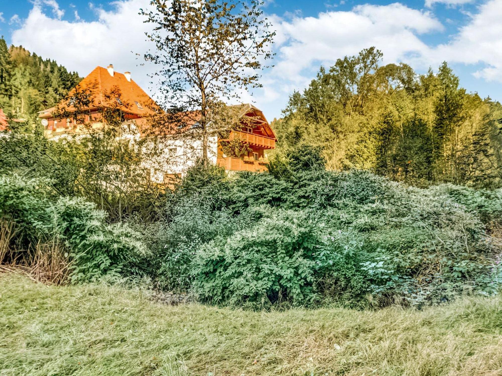 Apartment Thuringian Forest With Balcony Giessubel Exterior foto