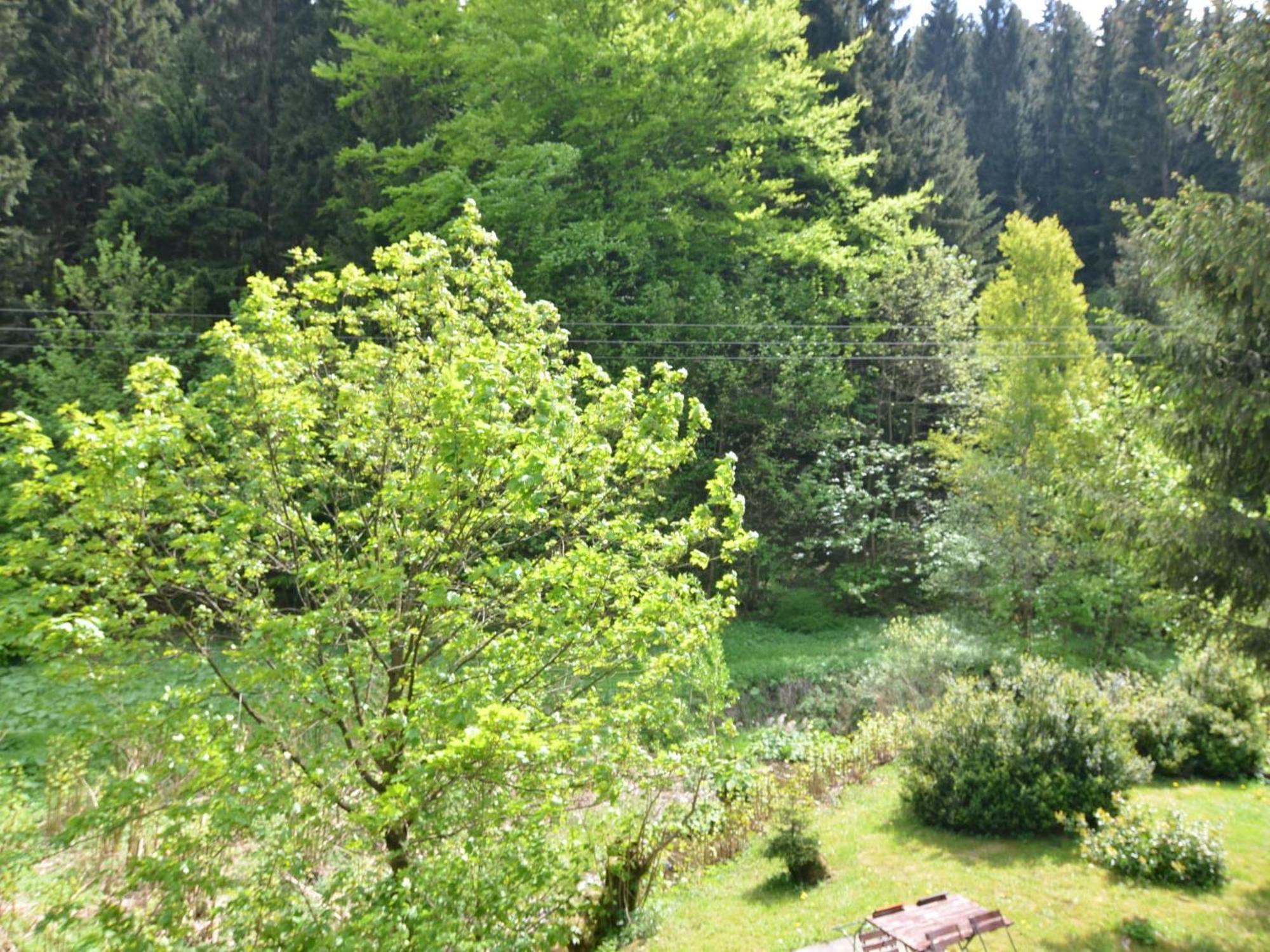 Apartment Thuringian Forest With Balcony Giessubel Exterior foto